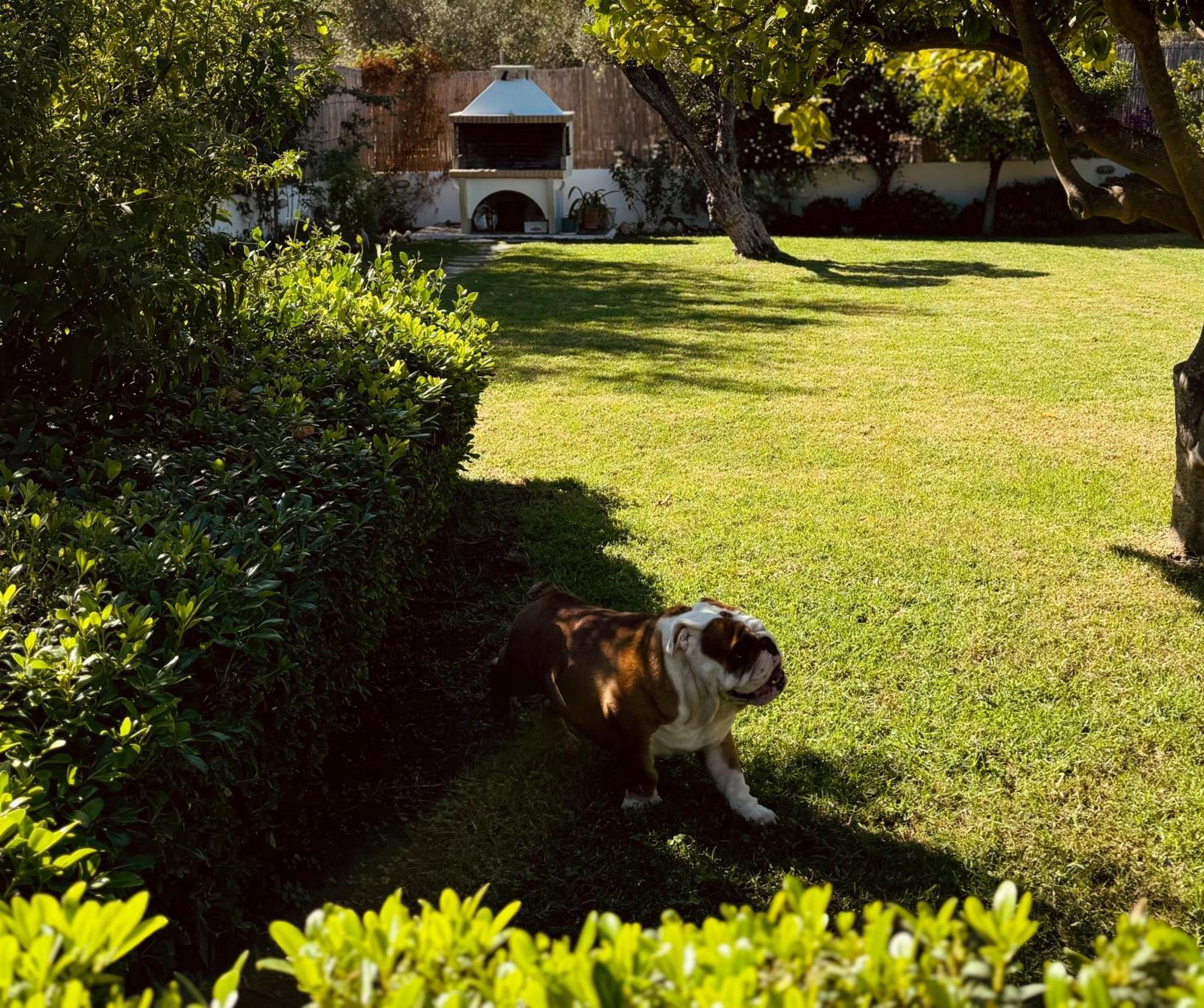 Archangelos Garden House Εξωτερικό φωτογραφία